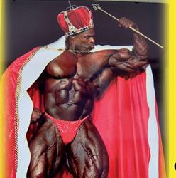 Body Nutrition - integratori sportivi - Gallipoli