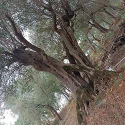 Monte Spazzavento