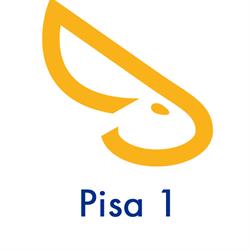 Solo Affitti Pisa1
