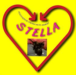 associazione aiuto animali stella