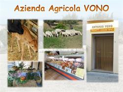 Azienda Agricola Vono Antonio - PRODOTTI CASEARI TIPICI - Punto Vendita
