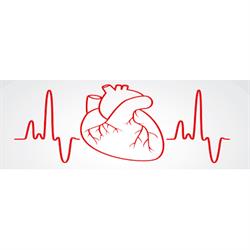 Chiosso Dott. Melchiorre - Diagnostica Cardiovascolare