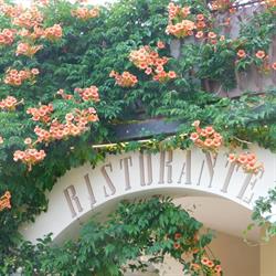 Ristorante Il Calderone