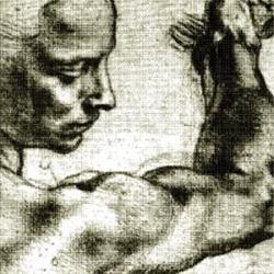 Scuola di Naturopatia IMG Padova