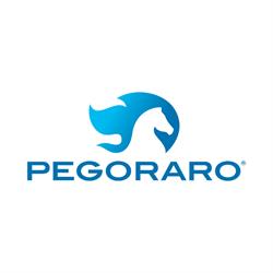 Pegoraro Gas Technologies Srl