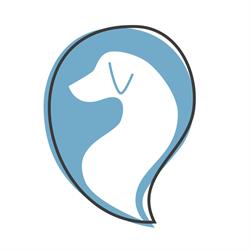 Clinica Veterinaria Amore