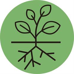 FLORICOLTURA BORTOLOZZO