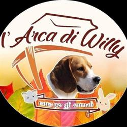 l'arca di willy