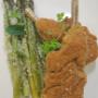 AGNELLO