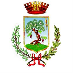 Comune di Buseto Palizzolo