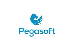 Pegasoft Srl