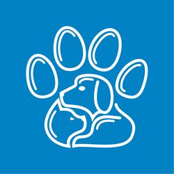 Ambulatorio Veterinario Loni -Marcucci -Lami