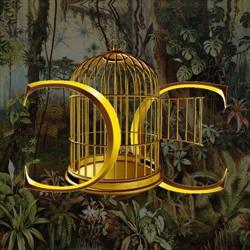Cage Club