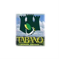 Azienda Agricola Tabano