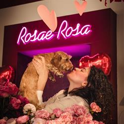 Rosae Rosa