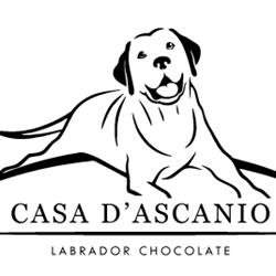 Allevamento Casa D'Ascanio - Labrador Chocolate