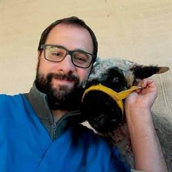 Clinica Veterinaria Borgomanero CVB - Dr. Salvatore Di Graci