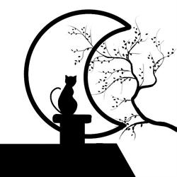 Luna Sul Tetto