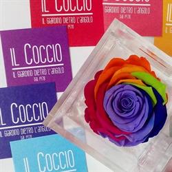 Il Coccio - Il Giardino dietro l'angolo
