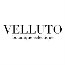 Velluto Botanique Eclectique