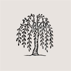 Laboratorio Alimentare Naturale