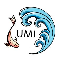 Umi sushi fusion bagno a Ripoli