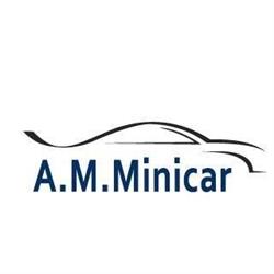 A. M. Minicar