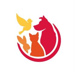 Negozio articoli per animali - Non Solo Piume