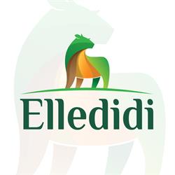 Macellerie Elledidi S.r.l.