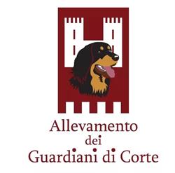 allevamento Hovawart dei Guardiani di Corte