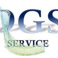 DGS Service