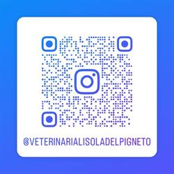 Veterinaria L'isola del Pigneto Roma