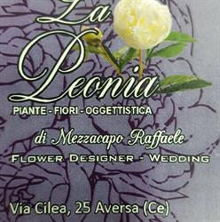 LA PEONIA FIORI PIANTE OGGETTISTICA BOMBONIERE