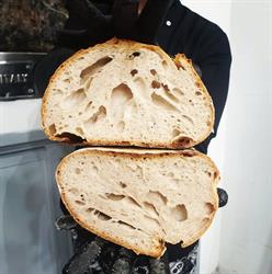 Tesori del Mulino