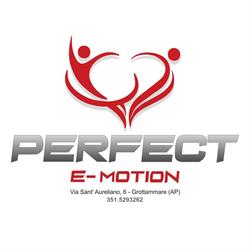 Palestra Perfect E-Motion