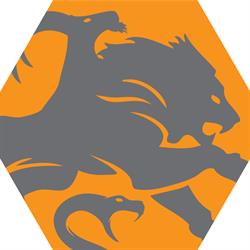Chimera Informatica Castrocaro