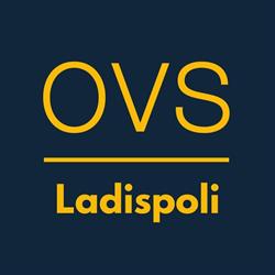 OVS