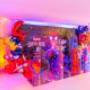 Gallery Cliente