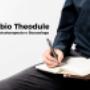 https://fabiotheodule.it