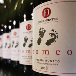 Cantina Eraldo Dentici