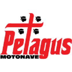 Motonave Petagus