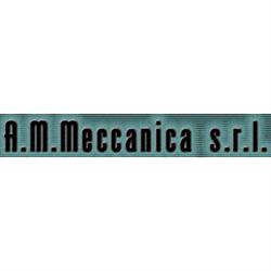 A.M.Meccanica
