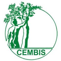 Cembis