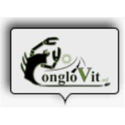 Conglovit S.r.l. Chiavarino