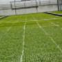 Gallery Professionale