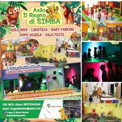 Asilo Il Regno di Simba