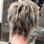 Gallery Professionale