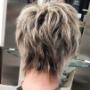 Gallery Professionale