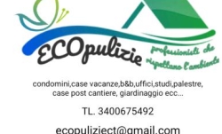 Ecopulizie