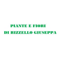 Piante e Fiori di Rizzello Giuseppa